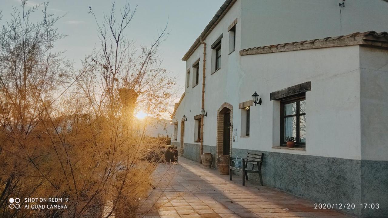 Mas del Tancat Agroturisme, hoteles y alojamientos en Amposta